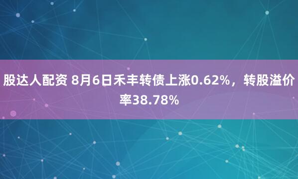 股达人配资 8月6日禾丰转债上涨0.62%，转股溢价率38.78%